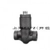 自密封鍛鋼止回閥，上海開茲閥門