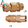 防爆填料函BTL20×1.5、25×1.5鎧裝、不銹鋼、黃銅