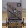 盤錦灌裝機(jī)|機(jī)油灌裝機(jī)|潤(rùn)滑油灌裝機(jī)