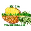 菠蘿果膠國(guó)家免檢 菠蘿果膠用量含量 菠蘿果膠最新報(bào)價(jià)