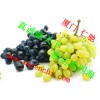 抗壞血酸鈣批發(fā)價格 抗壞血酸鈣廠家電話 抗壞血酸鈣含量