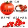 L-抗壞血酸棕櫚酸酯批發(fā)價格 L-抗壞血酸棕櫚酸酯出廠價