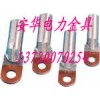 供應(yīng)長(zhǎng)沙DTL銅鋁系列接線端子