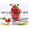 維生素B3國(guó)家免檢 維生素B3最新報(bào)價(jià) 維生素B3用量含量