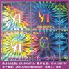 閃閃發(fā)亮鐳射防偽標(biāo)、北京水印隱形標(biāo)簽、物理生化防偽商標(biāo)
