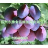 尼泊金復(fù)合酯鈉用量含量 尼泊金復(fù)合酯鈉廠(chǎng)家哪家好