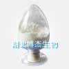 湖北供應(yīng)甲氧蟲(chóng)酰肼98%原粉