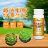澳仕達(dá)苗木速長劑