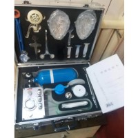 現(xiàn)貨供應(yīng)MZS30自動蘇生器 MZS30自動蘇生器質(zhì)保一年